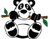 Desenho Urso panda pintado por ff