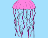 Desenho Medusa pintado por joao