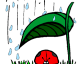 Desenho Joaninha protegida da chuva pintado por ju