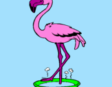 Desenho Flamingo com os pés de molho pintado por analuiza