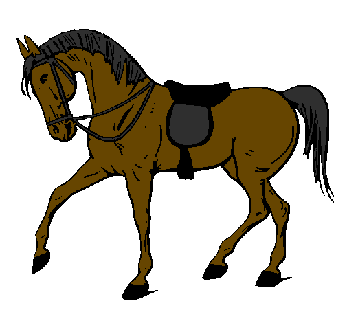 Desenho Cavalo de competição pintado por cavalo