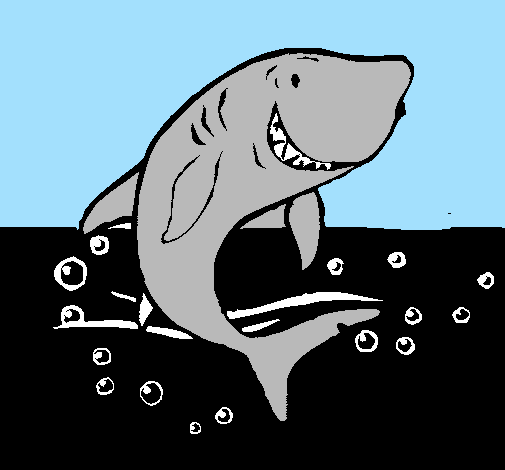 Desenho Tubarão pintado por tubarao azul