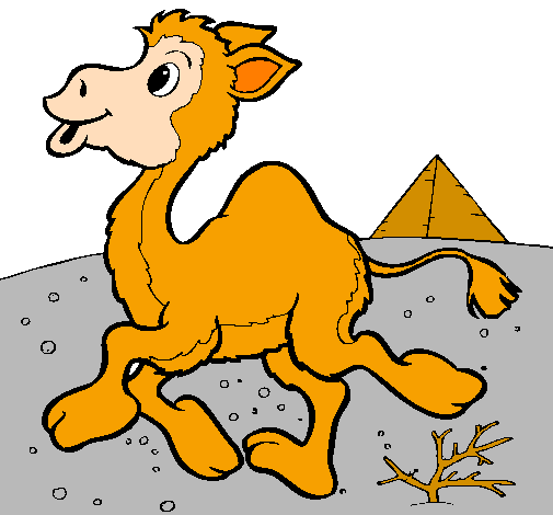 Desenho Camelo pintado por Camelo  Valente