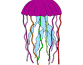 Desenho Medusa pintado por nar
