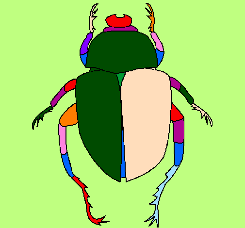 Desenho Escaravelho pintado por balat