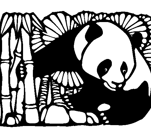 Desenho Urso panda e bambu pintado por nene nicolas