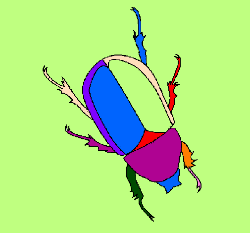 Desenho Escaravelho pintado por balat