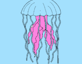 Desenho Medusa pintado por wendel