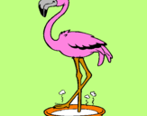 Desenho Flamingo com os pés de molho pintado por Jackelinny