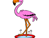 Desenho Flamingo com os pés de molho pintado por lucas