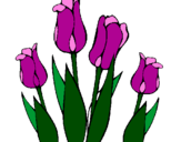 Desenho Tulipa pintado por LÍLIAN