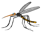 Desenho Mosquito pintado por pernilongo