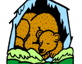 Desenho Urso a hibernar pintado por miguel g