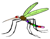 Desenho Mosquito pintado por lau