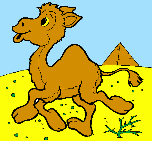 Desenho Camelo pintado por yan
