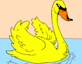 Desenho Cisne na água pintado por Gustavo