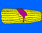 Desenho Espiga de milho  pintado por miguel g