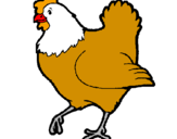 Desenho Galinha pintado por galinha 1