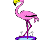 Desenho Flamingo com os pés de molho pintado por ana luiza