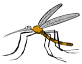 Desenho Mosquito pintado por g