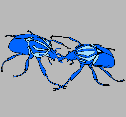 Desenho Escaravelhos pintado por lucas