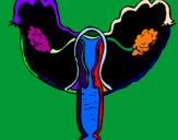 Desenho Vagina pintado por balat