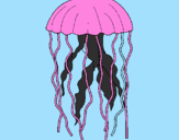 Desenho Medusa pintado por valner