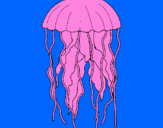 Desenho Medusa pintado por gabriel