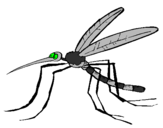 Desenho Mosquito pintado por vinicius