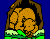 Desenho Urso a hibernar pintado por Laviinia