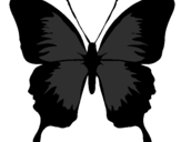 Desenho Borboleta com asas negras pintado por Borboleta Negra