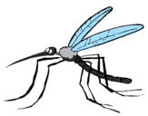 Desenho Mosquito pintado por deborah