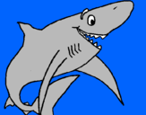 Desenho Tiburão alegre pintado por Pedro