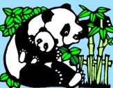 Desenho Mamã panda pintado por panda