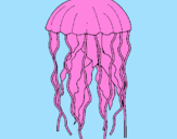 Desenho Medusa pintado por gabriel