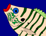 Desenho Peixe pintado por pedro