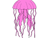 Desenho Medusa pintado por lucca