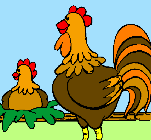 Desenho Galo e galinha pintado por Caipira