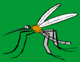 Desenho Mosquito pintado por victor