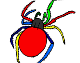 Desenho Aranha venenosa pintado por linkon l2