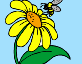 Desenho Margarida com abelha pintado por lola