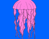Desenho Medusa pintado por gui
