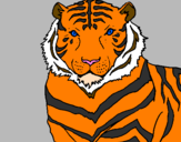 Desenho Tigre pintado por Nala