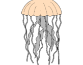 Desenho Medusa pintado por iaas