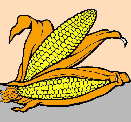 Desenho Espiga de milho  pintado por Michelle