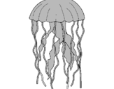 Desenho Medusa pintado por iaa