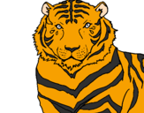 Desenho Tigre pintado por hugo