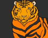 Desenho Tigre pintado por tri