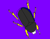 Desenho Escaravelho pintado por danieludmila