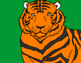 Desenho Tigre pintado por bruno